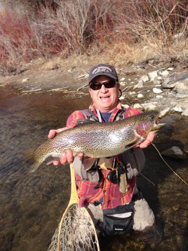 theo-huge-rainbow-trout-1